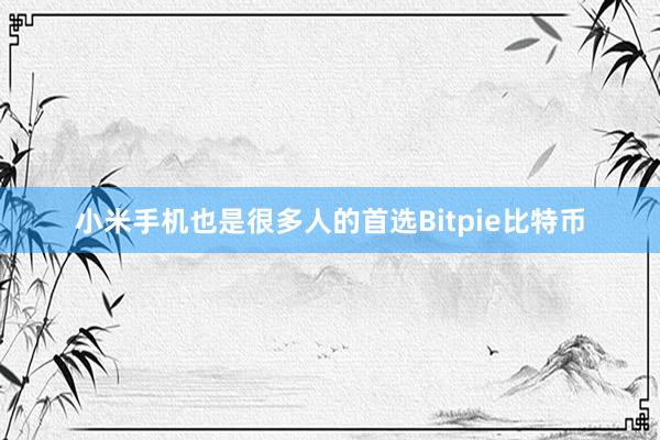 小米手机也是很多人的首选Bitpie比特币