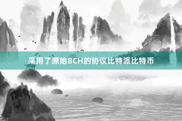 采用了原始BCH的协议比特派比特币