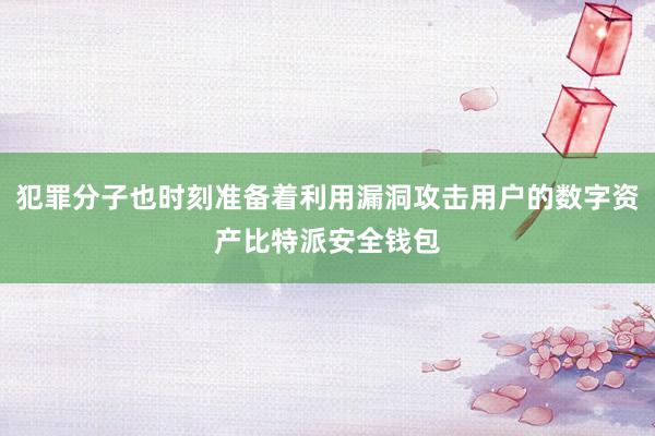 犯罪分子也时刻准备着利用漏洞攻击用户的数字资产比特派安全钱包