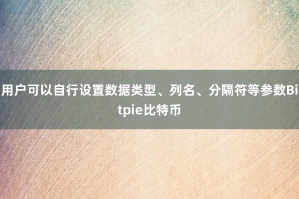 用户可以自行设置数据类型、列名、分隔符等参数Bitpie比特币