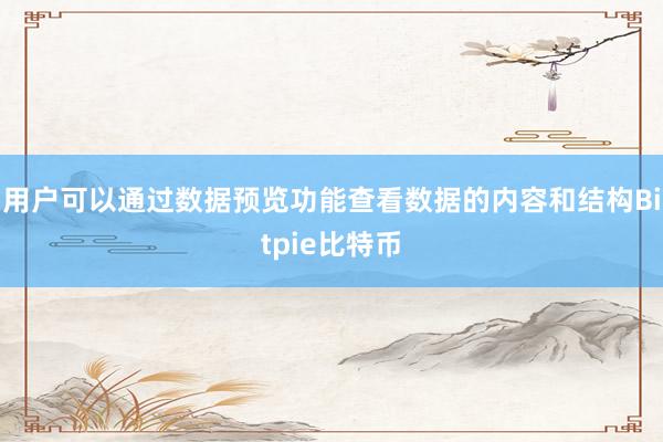 用户可以通过数据预览功能查看数据的内容和结构Bitpie比特币