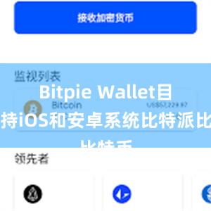 Bitpie Wallet目前支持iOS和安卓系统比特派比特币