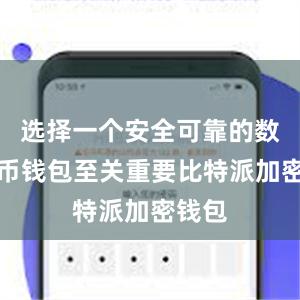 选择一个安全可靠的数字货币钱包至关重要比特派加密钱包