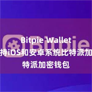 Bitpie Wallet目前支持iOS和安卓系统比特派加密钱包