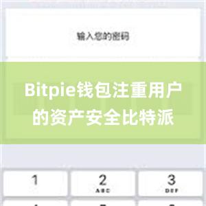 Bitpie钱包注重用户的资产安全比特派