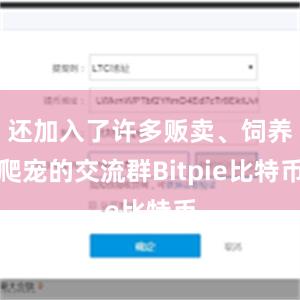 还加入了许多贩卖、饲养爬宠的交流群Bitpie比特币