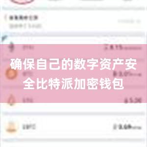 确保自己的数字资产安全比特派加密钱包