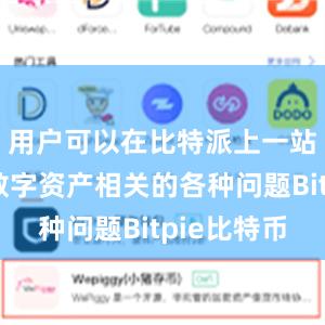 用户可以在比特派上一站式解决数字资产相关的各种问题Bitpie比特币